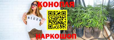 крисы Апшеронск