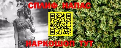 крисы Апшеронск
