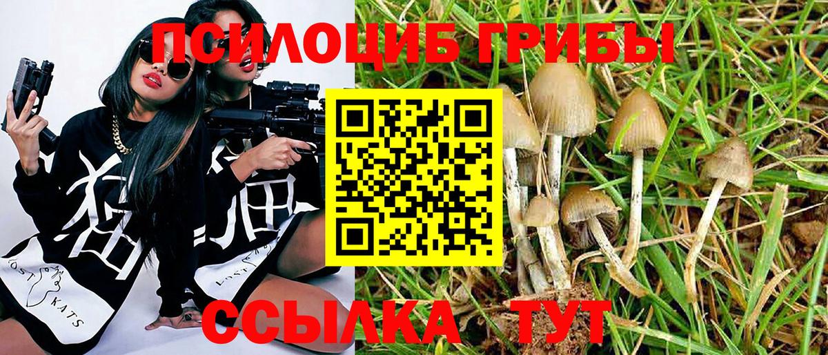 Псилоцибиновые грибы мицелий Верхний Уфалей